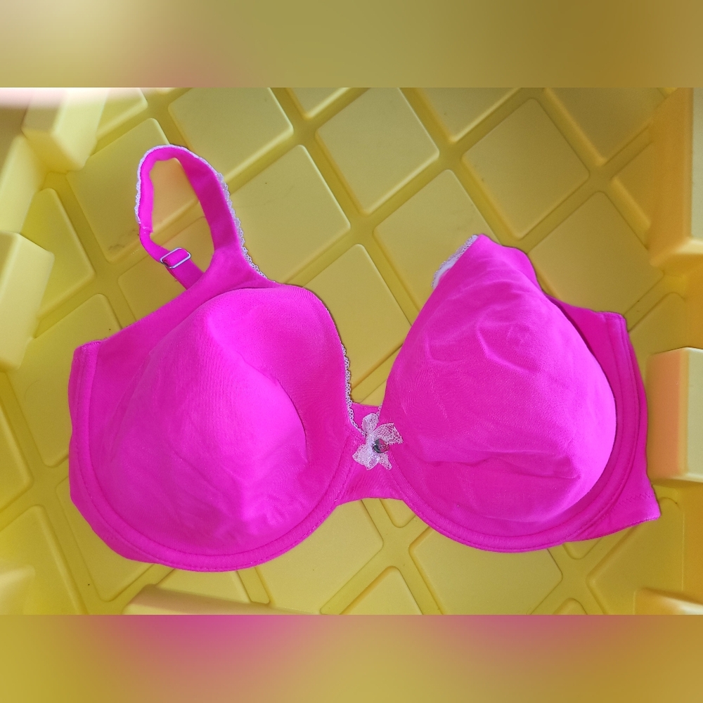 Victoria's Secret Bold Pink Lingerie